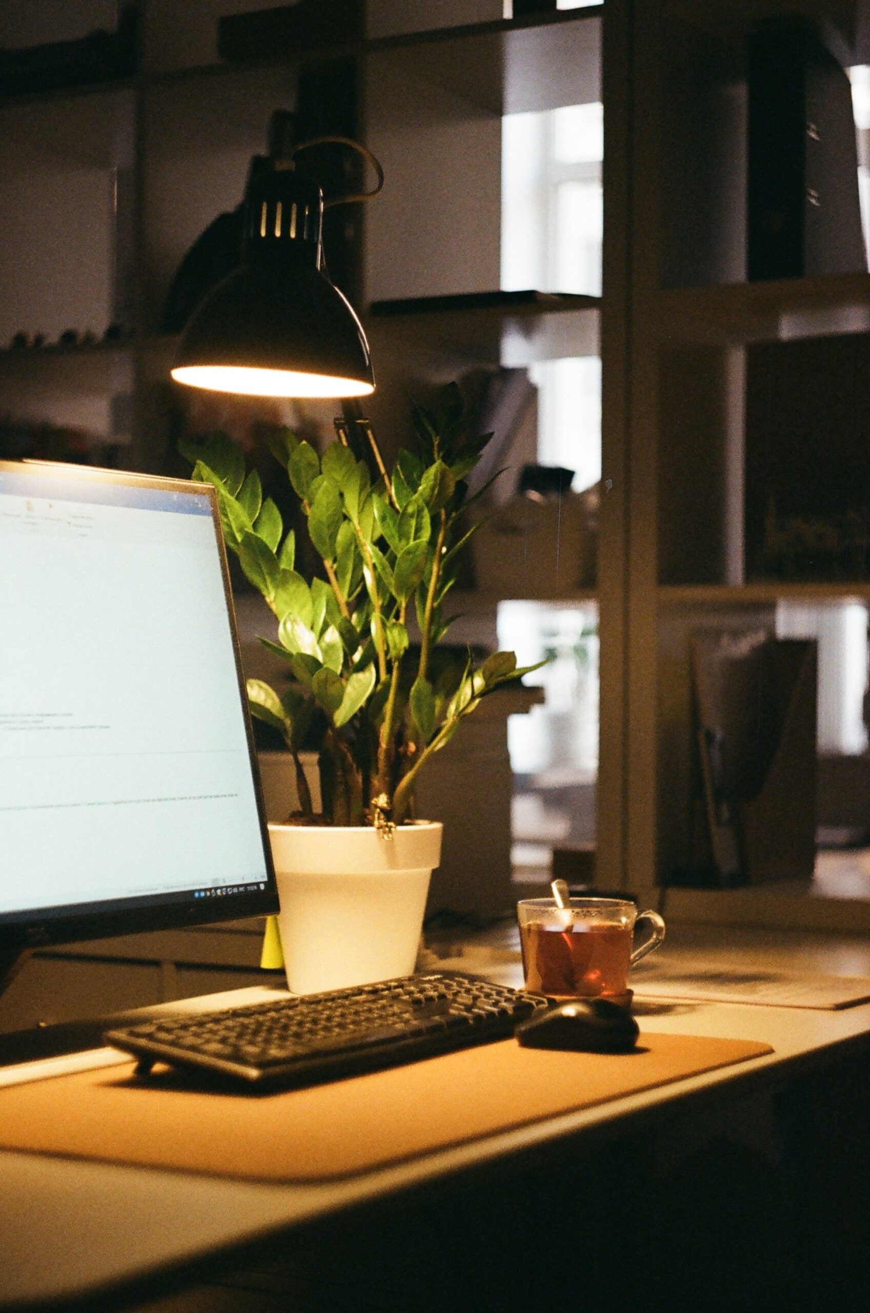 Computer monitor, desk lamp, plant and cup on a warmly lit desk.