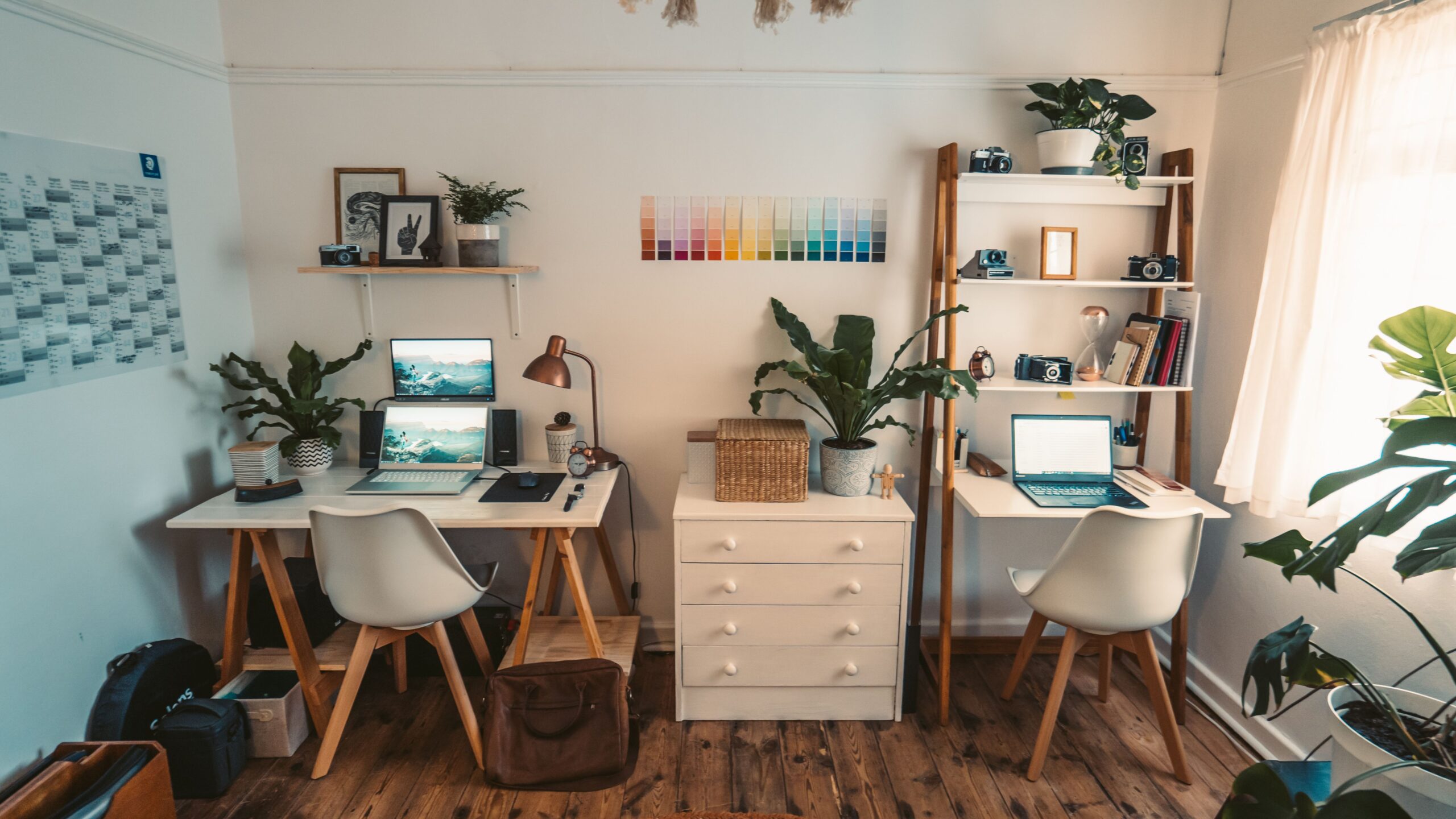 Two desks with laptops, chairs, shelves and plants.